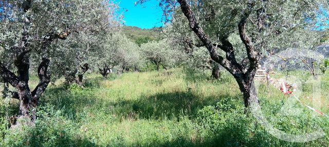 terrain à vendre - 2000.0 m2 - PEYRUIS - 04 - PROVENCE-ALPES-COTE-D-AZUR - Century 21 Grand Maison