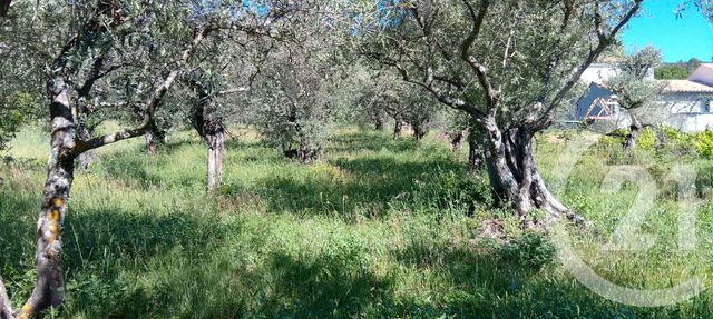 terrain à vendre - 2000.0 m2 - PEYRUIS - 04 - PROVENCE-ALPES-COTE-D-AZUR - Century 21 Grand Maison